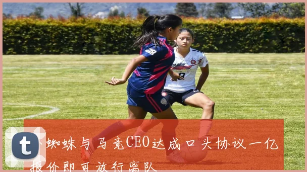 小蜘蛛与马竞CEO达成口头协议一亿报价即可放行离队