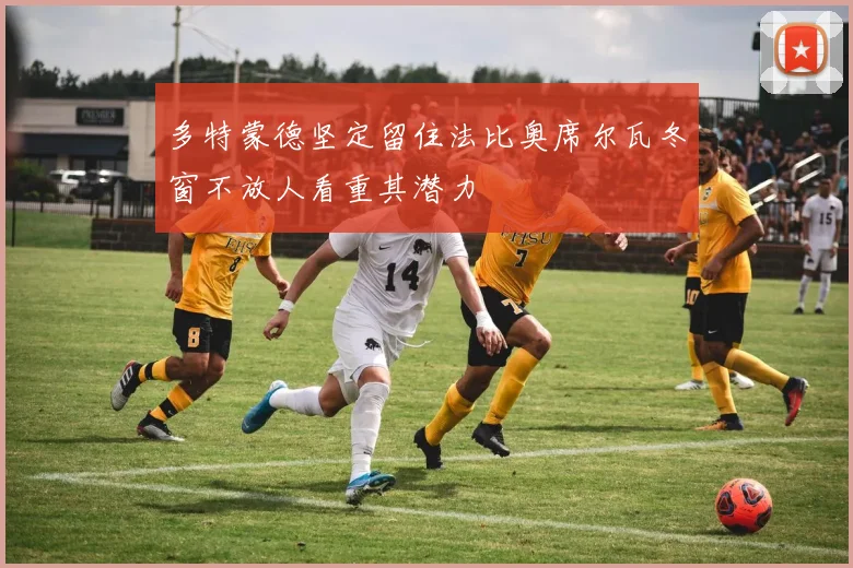 多特蒙德坚定留住法比奥席尔瓦冬窗不放人看重其潜力