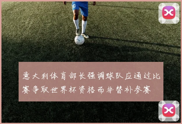意大利体育部长强调球队应通过比赛争取世界杯资格而非替补参赛